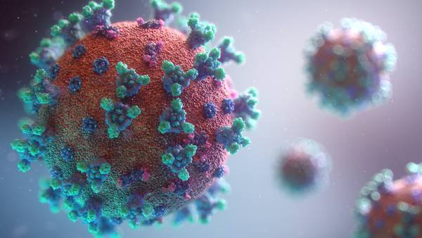 China descubre el Langya, un nuevo virus de origen animal más letal que el coronavirus