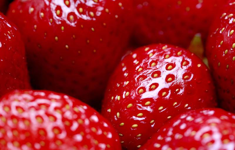 Los frutos congelados se distribuyeron en varios estados de la Unión Americana. (Pixabay)