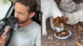 Tiene un gran corazón y por eso, este hombre se hizo viral: Ayuda a los perros de la calle