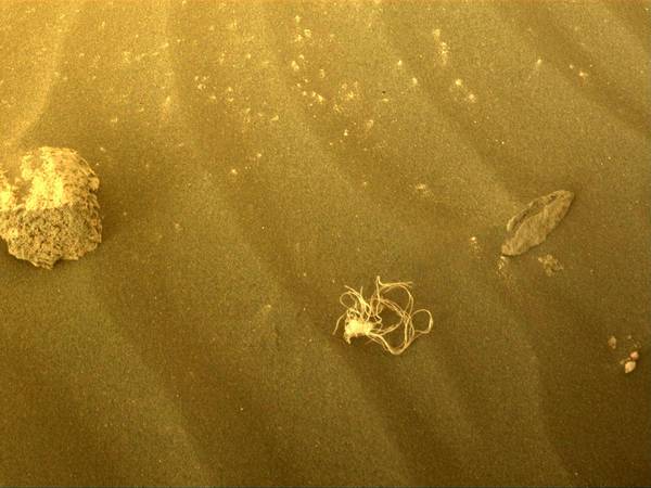 ¿Forma de vida extraterrestre? NASA identifica extraños restos encontrados en Marte