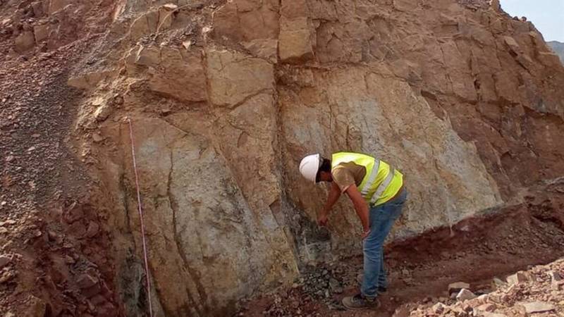 La construcción de una carretera al sur de España derivó en un hallazgo enorme: fósiles de especies anteriores a los dinosaurios.