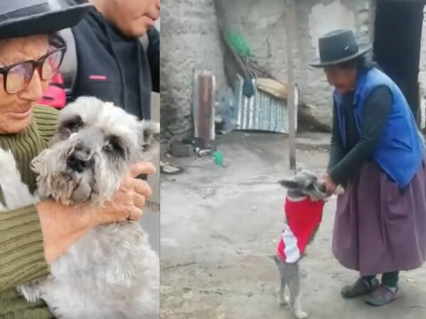 El amor por las mascotas es infinito: Así fue el reencuentro de esta abuela con su perrito