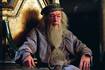 Elenco de ‘Harry Potter’ expresa emotivos mensajes por muerte de Michael Gambon