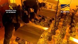 Detenidos 37 integrantes de una red criminal que enviaba cargamentos de hachís y marihuana a Europa