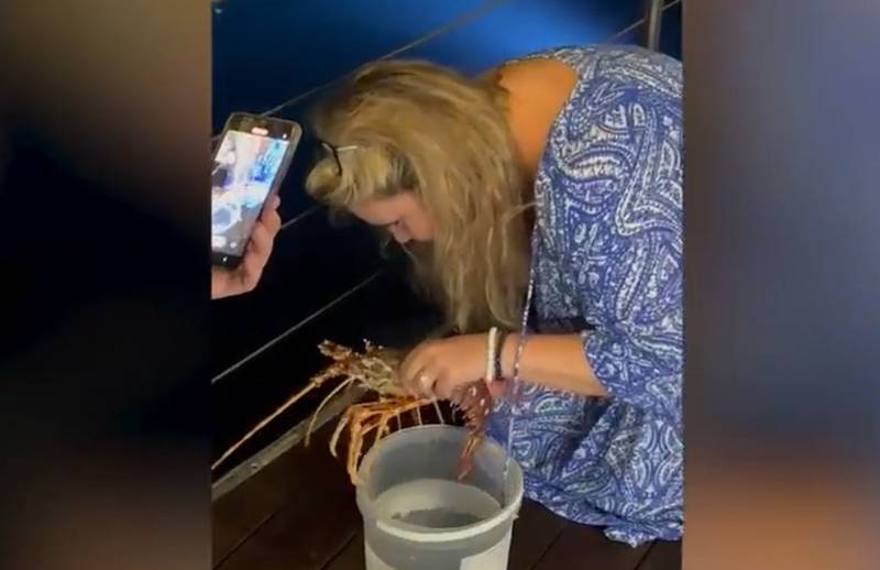 La clienta pagó 200 euros por una langosta para salvarla de su destino mortal en la cocina y liberarla en el mar
