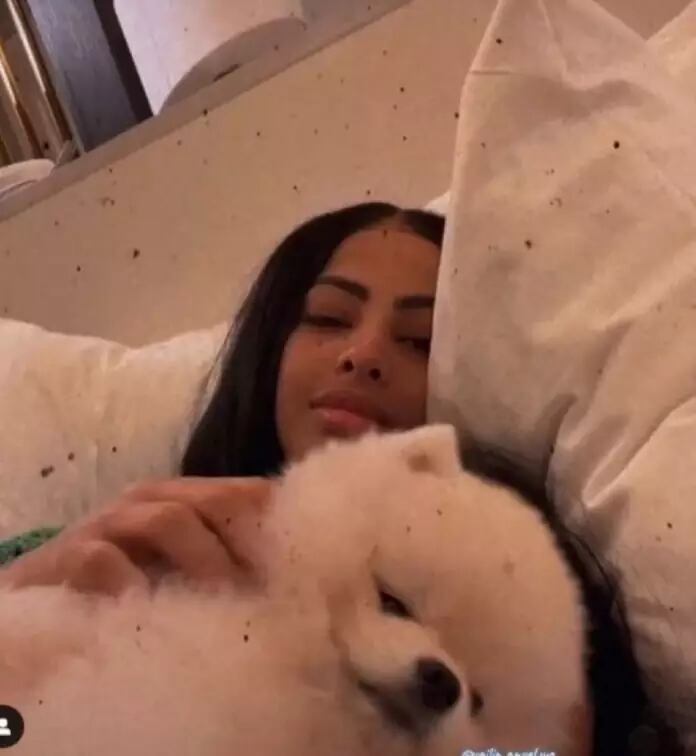 Anuel AA le regaló un perrito a Yailin que cuesta 11 mil dólares –  Publimetro Argentina