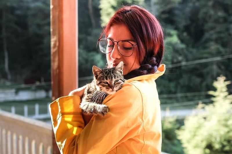 Los gatitos son los más tiernos